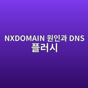 nxdomain ec9b90ec9db8eab3bc dns ed948ceb9facec8b9c 1789984248