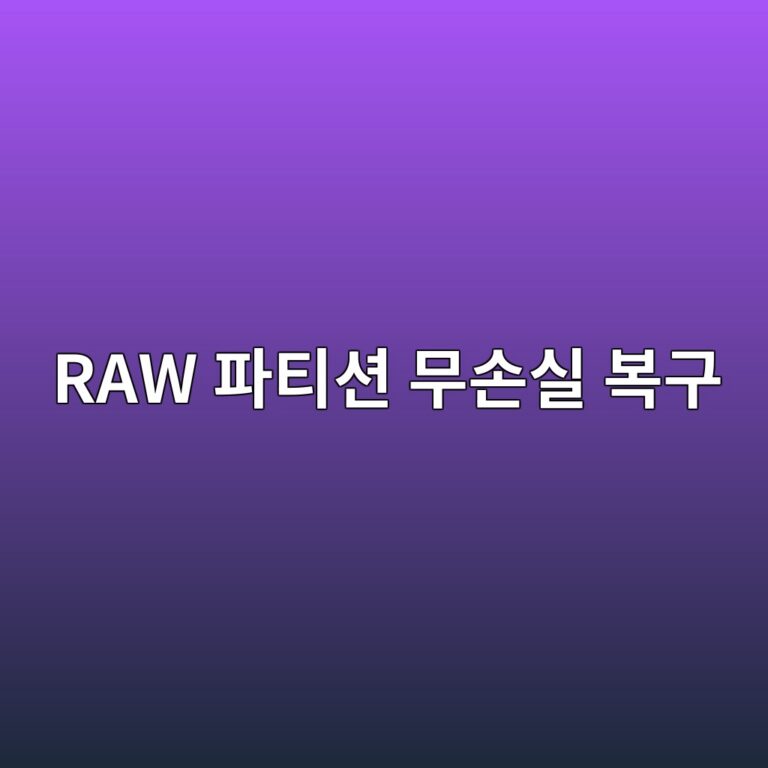 외장하드 연결 시 '디스크를 포맷해야 합니다' 오류 해결: RAW 파티션 변환 원리와 파일 복구(CHKDSK vs 복구 툴) 6 raw ed8c8ced8bb0ec8598 ebacb4ec8690ec8ba4 ebb3b5eab5ac 1788516571